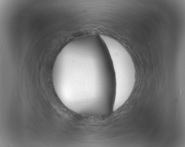 X0000082970865200702011140