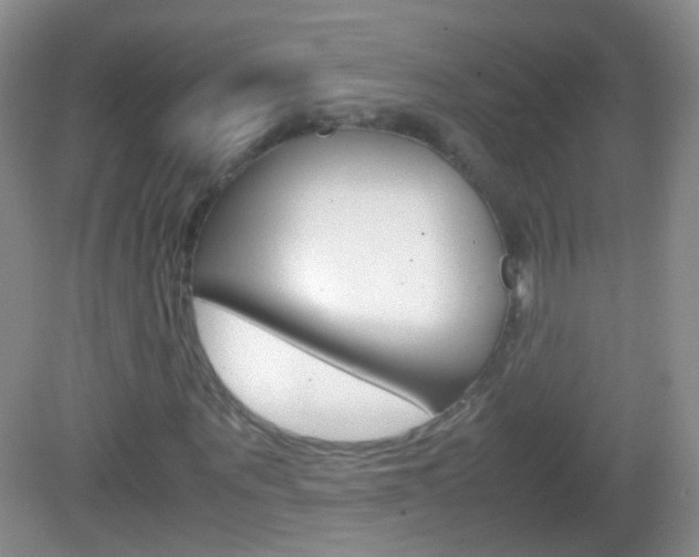 X0000082970867200702011140