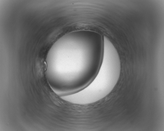 X0000082970868200702011140