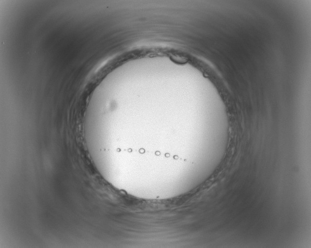 X0000082970871200702011140
