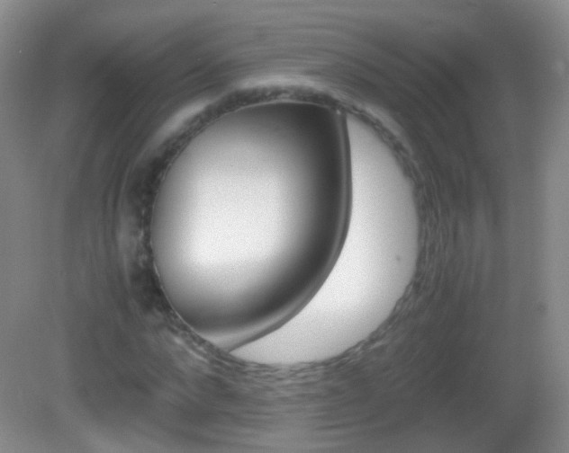 X0000082970872200702011140