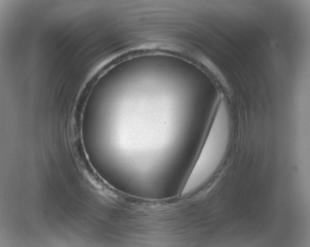X0000082970876200702011140