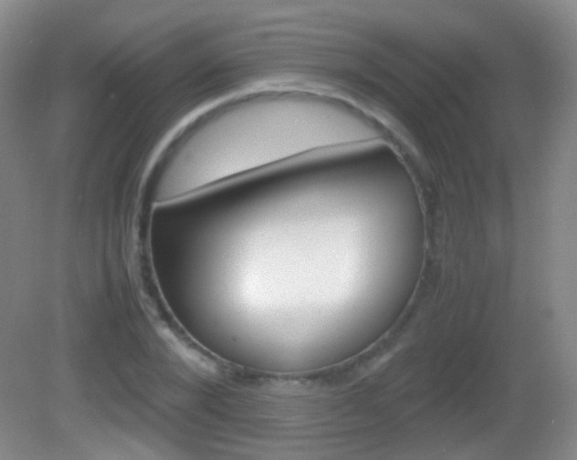 X0000082970880200702011140