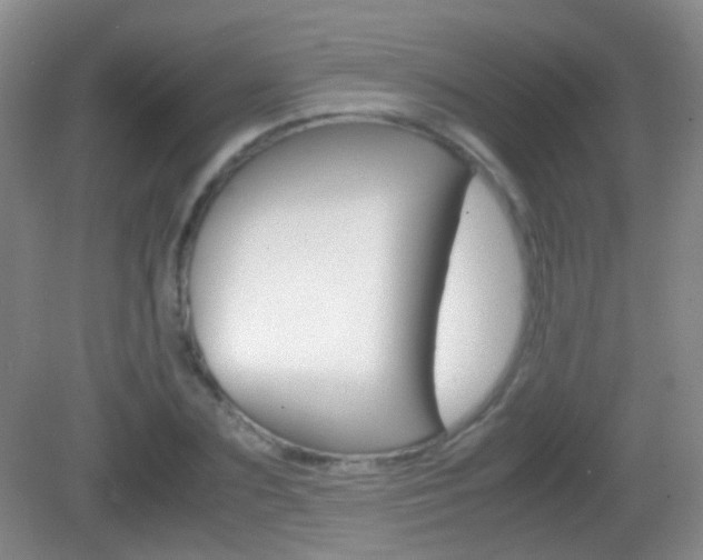X0000082970883200702011139
