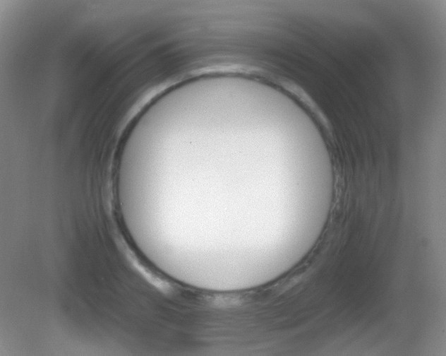 X0000082970890200702011139