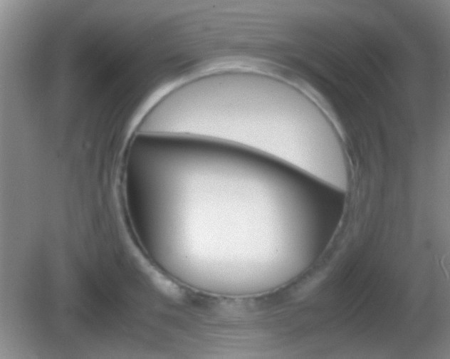 X0000082970901200702011139
