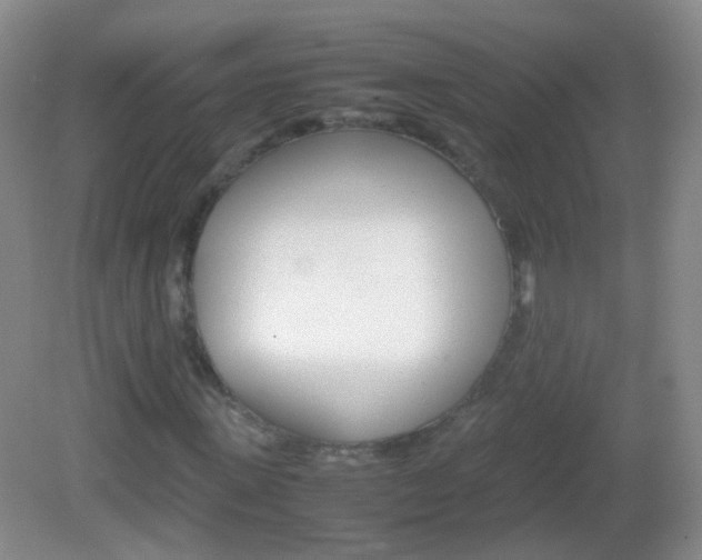 X0000082970915200702011138