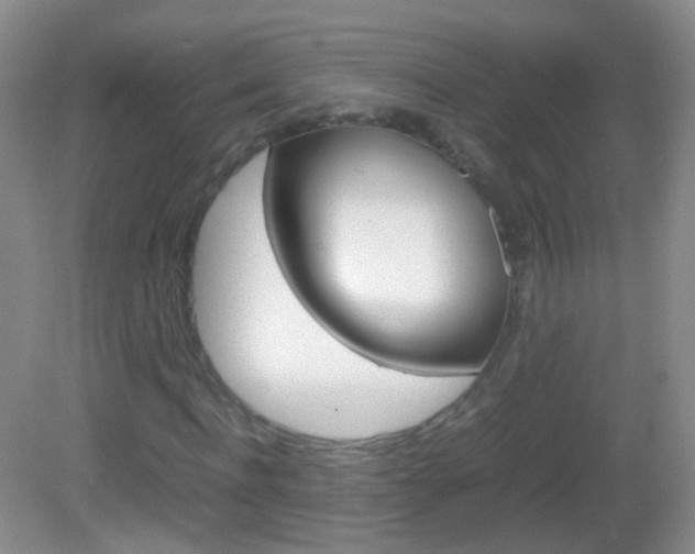 X0000082970916200702011138