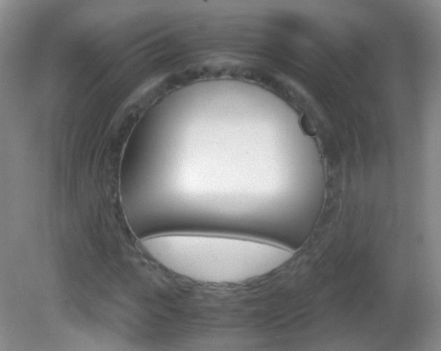 X0000082970919200702011138