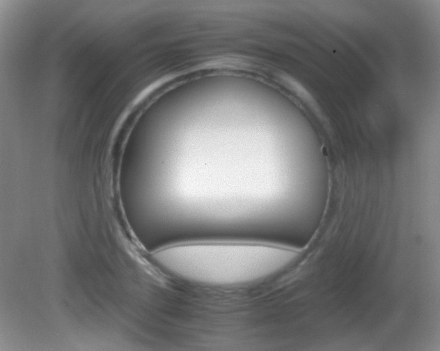 X0000082970931200702011138