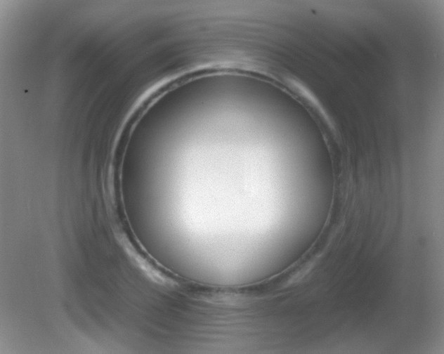 X0000082970932200702011138