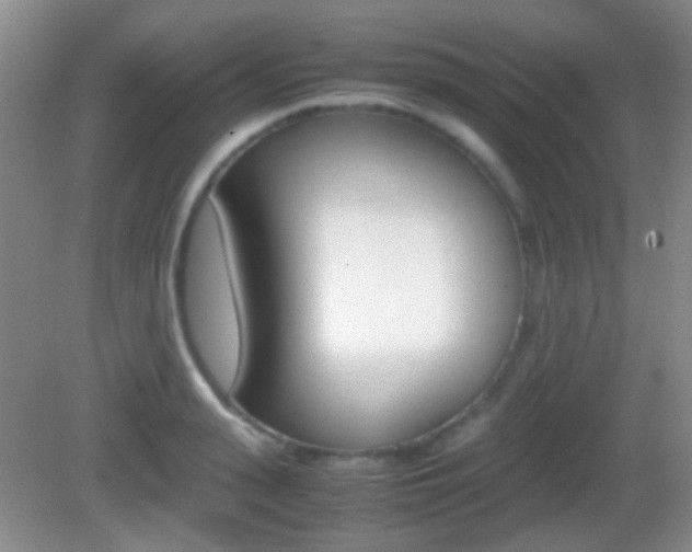 X0000082970943200702011139