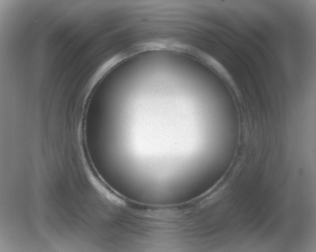 X0000082970946200702011139