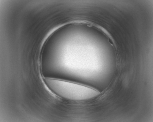 X0000082970951200702011139