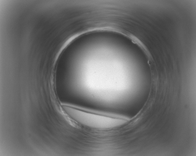 X0000082970956200702011139