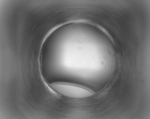 X0000082970959200702011139