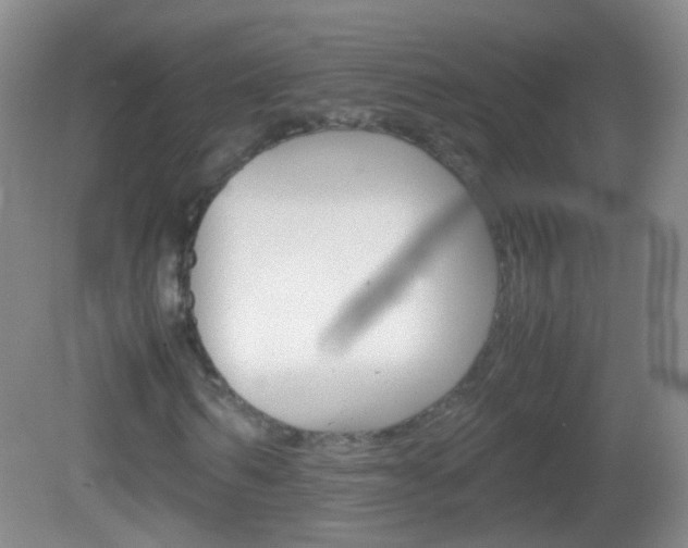 X0000082970962200702011138