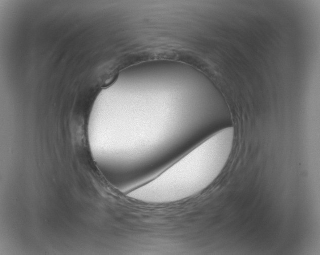 X0000082970963200702011138