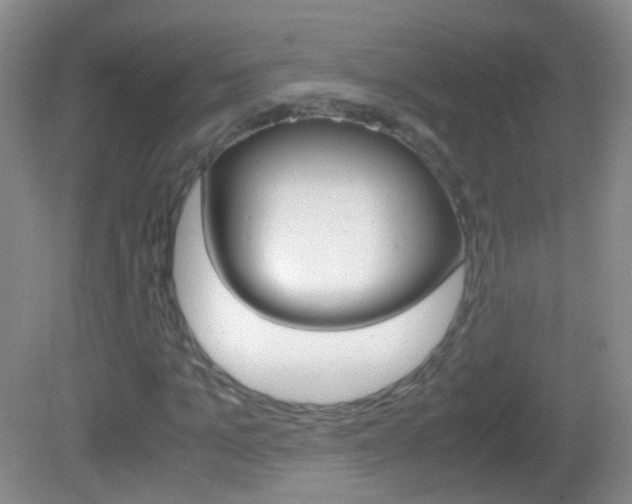X0000082970965200702011138