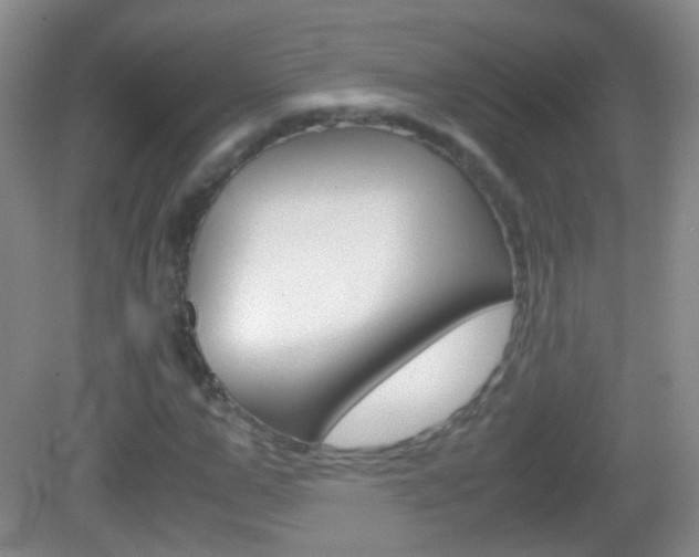 X0000082970967200702011138
