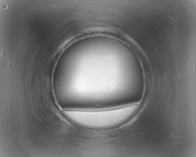 X0000082970969200702011138