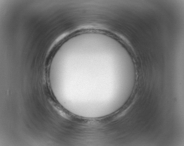 X0000082970974200702011138