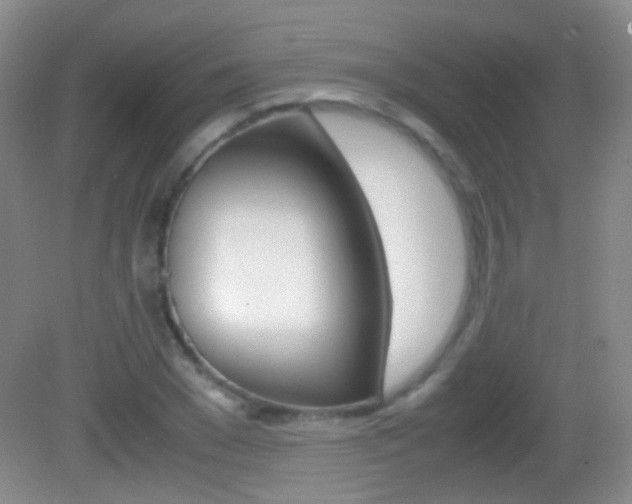 X0000082970977200702011138