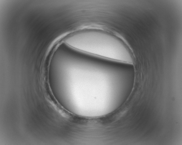 X0000082970979200702011138
