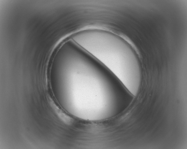 X0000082970980200702011138