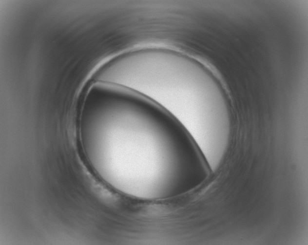X0000082970984200702011138
