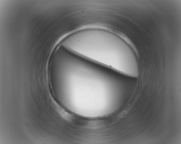 X0000082970988200702011138