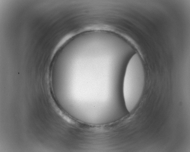 X0000082970990200702011138