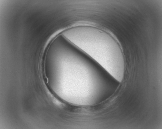 X0000082970995200702011138