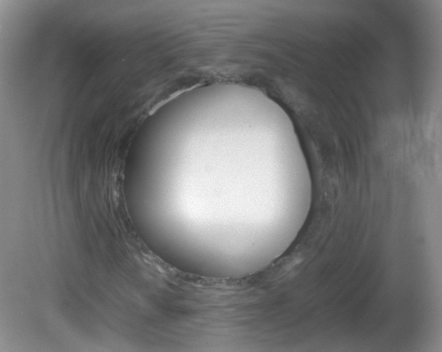 X0000082971010200702011137
