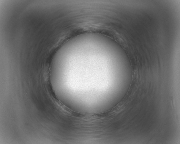 X0000082971012200702011137
