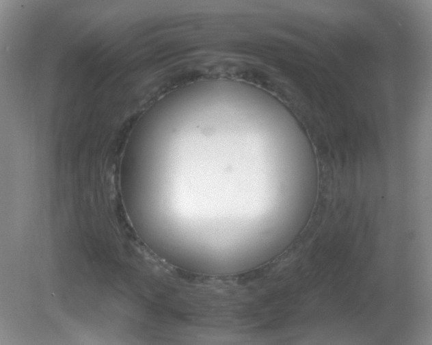 X0000082971013200702011137
