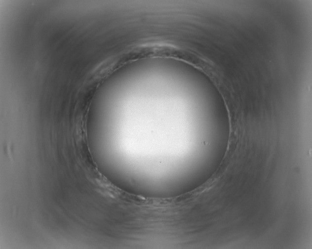 X0000082971014200702011137