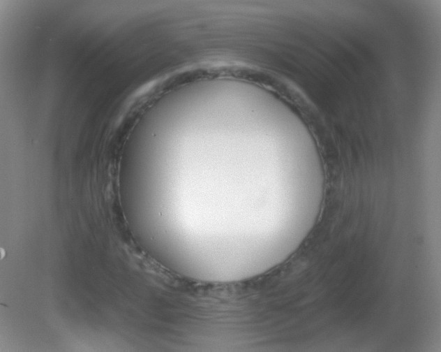 X0000082971016200702011137