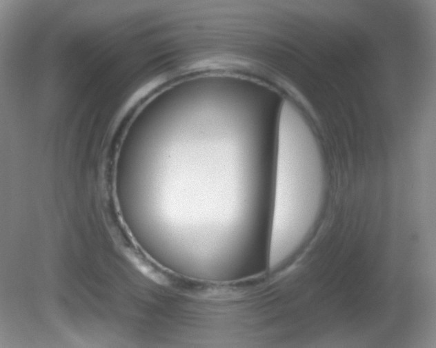 X0000082971026200702011137