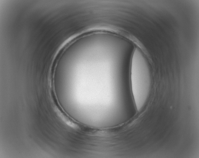 X0000082971028200702011137