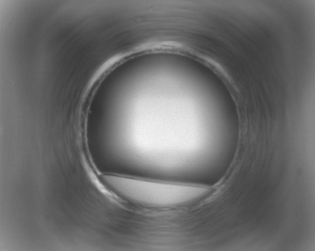 X0000082971038200702011137