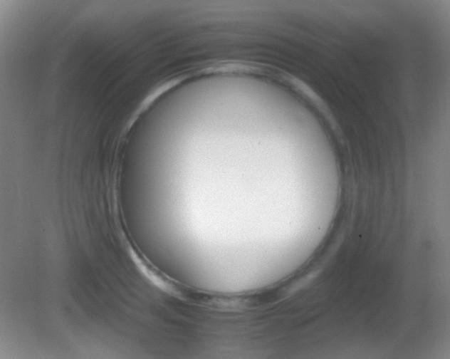 X0000082971041200702011137