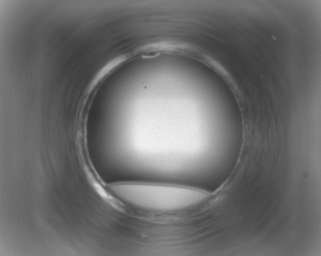 X0000082971042200702011137