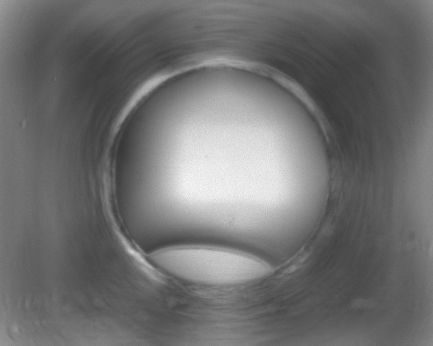 X0000082971048200702011137