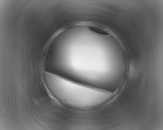 X0000082971049200702011137