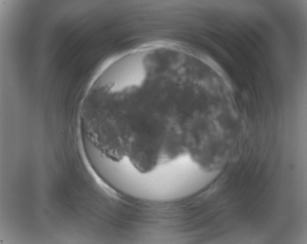 X0000082971055200702011137