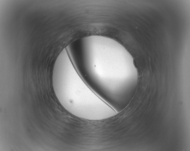 X0000082971058200702011137
