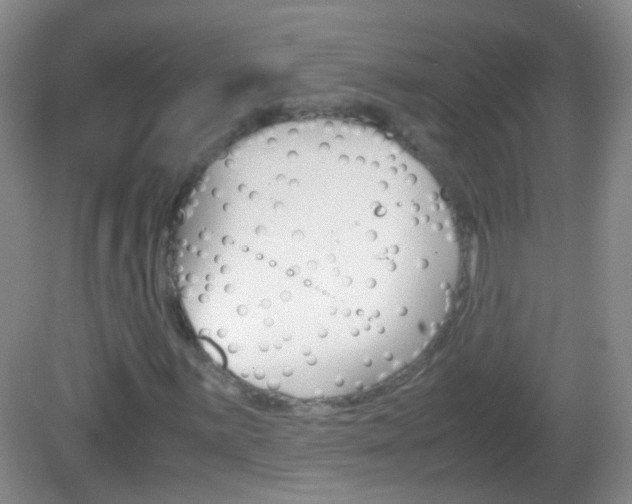 X0000082971059200702011137