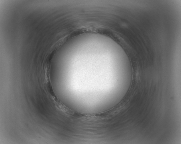 X0000082971060200702011136