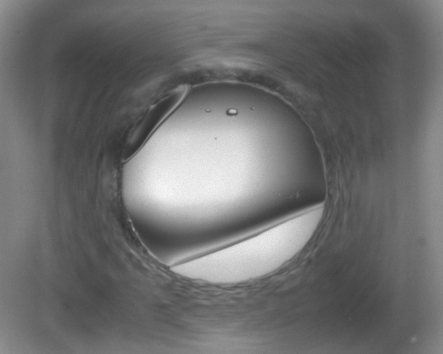 X0000082971061200702011136